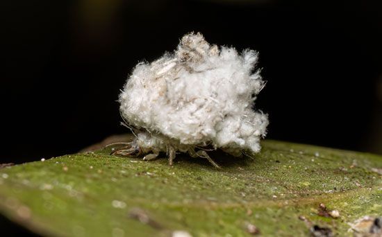 6 bet e confi谩vel - Junk collector